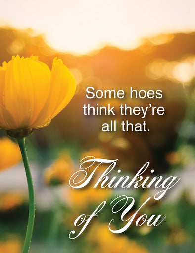 Hoes Greeting Card